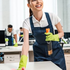 Deluxe Cleaning (Monthly)