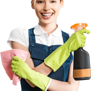 Basic Cleaning (Monthly)